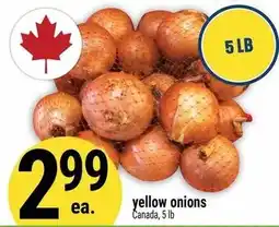 Marché Adonis Yellow onions offer