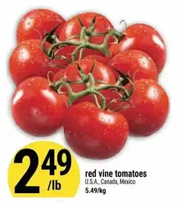 Marché Adonis Red vine tomatoes offer