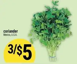 Marché Adonis Coriander offer