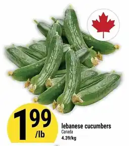 Marché Adonis Lebanese cucumbers offer