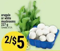 Marché Adonis Arugula or white mushrooms offer