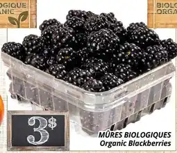Supermarché PA MÛRES BIOLOGIQUES | Organic Blackberries offer