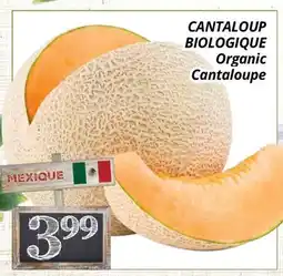 Supermarché PA CANTALOUP BIOLOGIQUE | Organic Cantaloupe offer