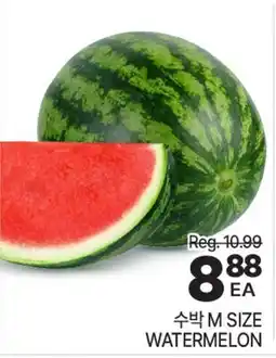 H-Mart WATERMELON offer