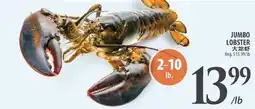 Al Premium Food Mart JUMBO LOBSTER offer