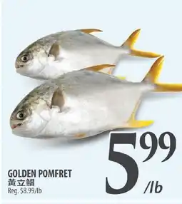 Al Premium Food Mart GOLDEN POMFRET offer