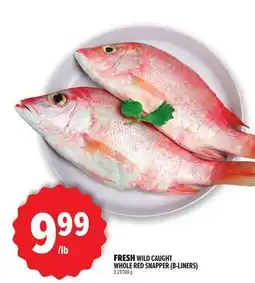 Metro FRESH WILD CAUGHT WHOLE RED SNAPPER (B-LINERS) offer
