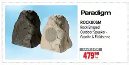 2001 Audio Video ROCK80SM Paradigm Rock-Shaped Outdoor Speaker-Granite & Fieldstone offer