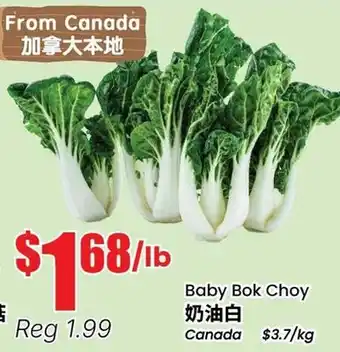 Btrust Supermarket Baby Bok Choy offer