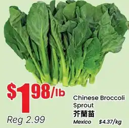 Btrust Supermarket Chinese Broccoli Sprout offer