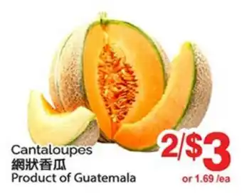 T&T Supermarket CANTALOUPES offer