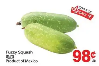 T&T Supermarket FUZZY SQUASH offer