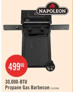 The Brick Napoleon 365 30,000-BTU 2-Burner Propane Gas Grill - FL365PMK-1 offer