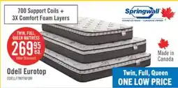The Brick Springwall Odell Eurotop Twin Mattress offer