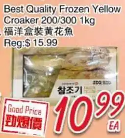 Foody Mart Best Quality Frozen Yellow Croaker 200/300 offer