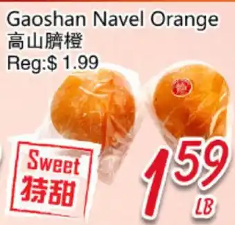 Foody Mart Gaoshan Navel Orange offer