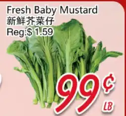 Foody Mart Fresh Baby Mustard offer