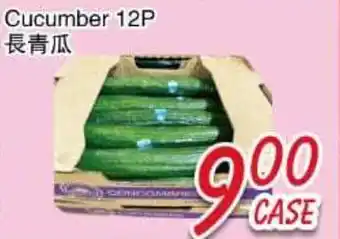 Foody Mart Cucumber 12P offer