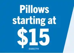 The Brick Masterguard Sleep-Rite Bamboo Standard Pillow offer