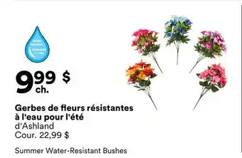 Michaels Gerbes de fleurs résistantes à l'eau pour l'été d'Ashland offer