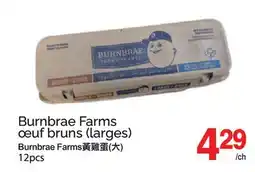 T&T Supermarket BURNBRAE FARMS ŒUF BRUNS, 12PCS offer