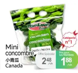 T&T Supermarket MINI CONCOMBRE offer