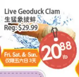 Fresh Palace Supermarket Live Geoduck Clam offer