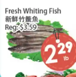 Fresh Palace Supermarket Fresh Whiting Fish offer