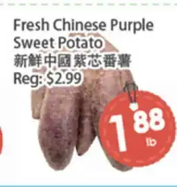 Fresh Palace Supermarket Fresh Chinese Purple Sweet Potato offer