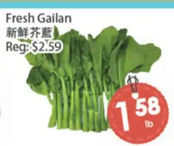 Fresh Palace Supermarket Fresh Gailan offer