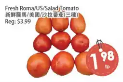 Fresh Palace Supermarket Fresh Roma/US/Salad Tomato offer