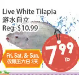 Fresh Palace Supermarket Live White Tilapia offer
