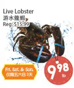 Fresh Palace Supermarket Live Lobster offer