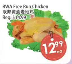 Fresh Palace Supermarket RWA Free Run Chicken offer