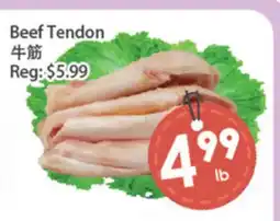 Fresh Palace Supermarket Beef Tendon offer