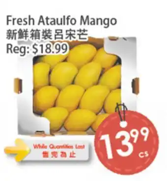 Fresh Palace Supermarket Fresh Ataulfo Mango offer