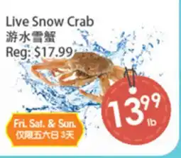 Fresh Palace Supermarket Live Snow Crab offer