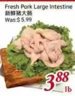 Tone Tai Supermarket Fresh Pork Large Intestine offer