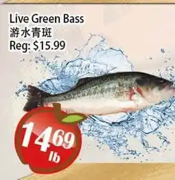 Food Depot Supermarket Live Green Bass offer