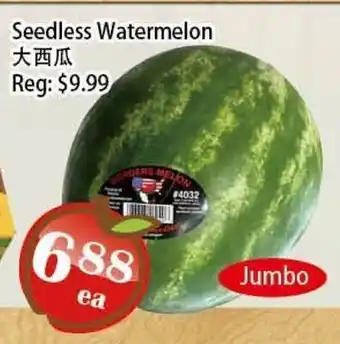 Food Depot Supermarket Seedless Watermelon offer