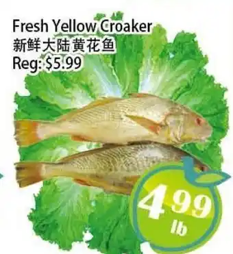 Food Depot Supermarket Fresh Yellow Croaker offer