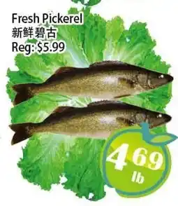 Food Depot Supermarket Fresh Pickerel offer