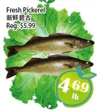 Food Depot Supermarket Fresh Pickerel offer