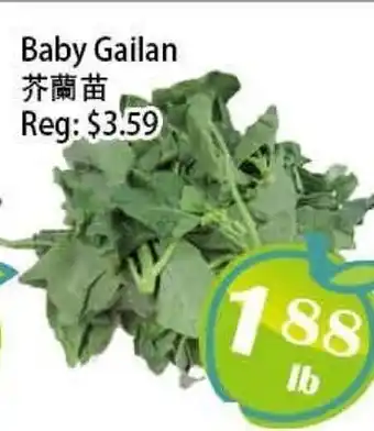 Food Depot Supermarket Baby Gailan offer