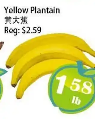 Food Depot Supermarket Yellow Plantain offer