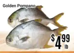 Nations Fresh Foods Golden Pompano offer