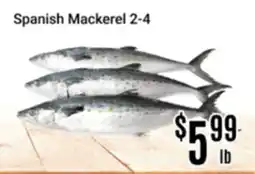 Nations Fresh Foods Spanish Mackerel 2-4 offer