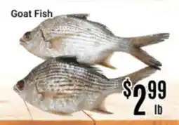 Nations Fresh Foods Goat Fish offer