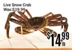Nations Fresh Foods Live Snow Crab offer
