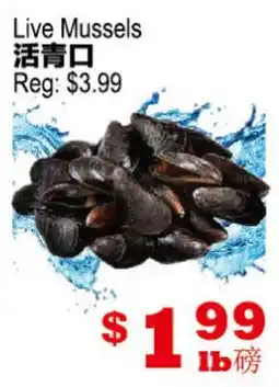 Yuan Ming Supermarket Live Mussels offer